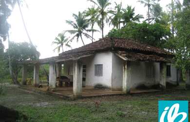 Imagem 4: VENDA ou PERMUTA ,FAZENDA / ILHA 110 Ha. a 15 KM de NAZARÉ das Farinhas....