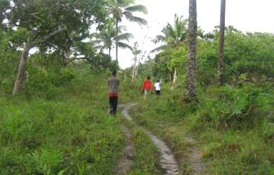 Imagem 5: VENDA ou PERMUTA ,FAZENDA / ILHA 110 Ha. a 15 KM de NAZARÉ das Farinhas....