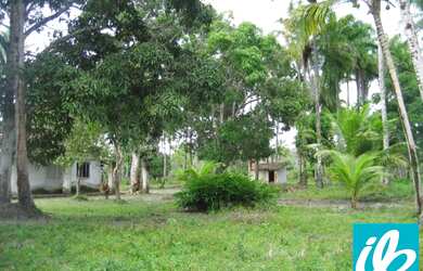 Imagem 6: VENDA ou PERMUTA ,FAZENDA / ILHA 110 Ha. a 15 KM de NAZARÉ das Farinhas....