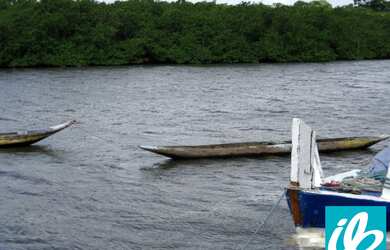 Imagem 7: VENDA ou PERMUTA ,FAZENDA / ILHA 110 Ha. a 15 KM de NAZARÉ das Farinhas....