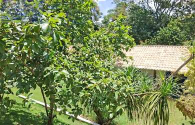 Imagem 6: r$750 mil Chacara na Figueira Branca casa principal linda em madeira e...