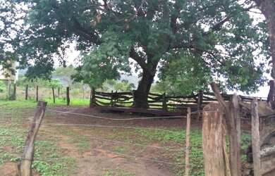 Imagem 4: FAZENDA RURAL em BURITIS - MG, CENTRO
