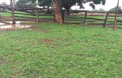 Imagem 6: FAZENDA RURAL em BURITIS - MG, CENTRO