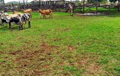 Imagem 7: FAZENDA RURAL em BURITIS - MG, CENTRO