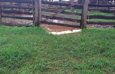 Imagem 15: FAZENDA RURAL em BURITIS - MG, CENTRO