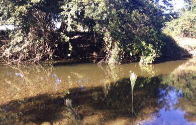 Imagem 1: FAZENDA RURAL em FLORES DE GOIÁS - GO, NOVA FLORES