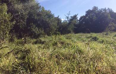 Imagem 3: FAZENDA RURAL em FLORES DE GOIÁS - GO, NOVA FLORES