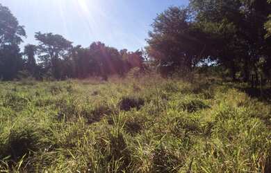 Imagem 4: FAZENDA RURAL em FLORES DE GOIÁS - GO, NOVA FLORES