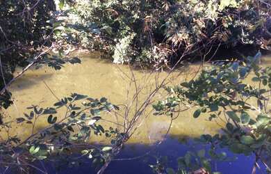 Imagem 10: FAZENDA RURAL em FLORES DE GOIÁS - GO, NOVA FLORES