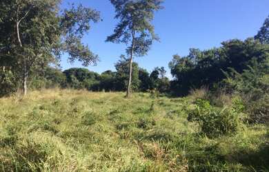 Imagem 5: FAZENDA RURAL em FLORES DE GOIÁS - GO, NOVA FLORES