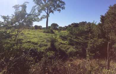 Imagem 6: FAZENDA RURAL em FLORES DE GOIÁS - GO, NOVA FLORES