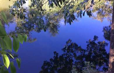 Imagem 7: FAZENDA RURAL em FLORES DE GOIÁS - GO, NOVA FLORES