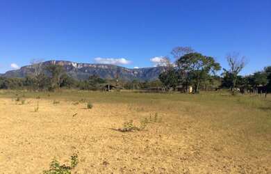 Imagem 8: FAZENDA RURAL em FLORES DE GOIÁS - GO, NOVA FLORES