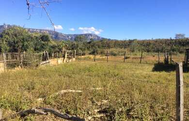Imagem 16: FAZENDA RURAL em FLORES DE GOIÁS - GO, NOVA FLORES