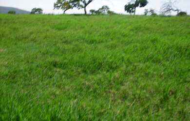 Imagem 5: FAZENDA RURAL em BURITIS - MG, CENTRO