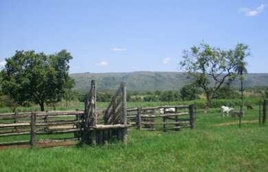 Imagem 6: FAZENDA RURAL em BURITIS - MG, CENTRO