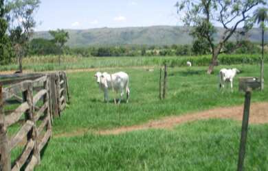 Imagem 8: FAZENDA RURAL em BURITIS - MG, CENTRO