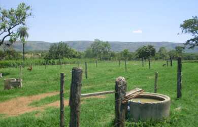 Imagem 9: FAZENDA RURAL em BURITIS - MG, CENTRO