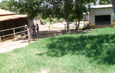 Imagem 2: FAZENDA RURAL em BURITIS - MG, CENTRO