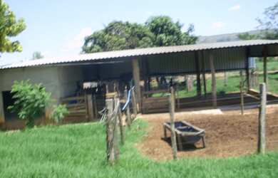 Imagem 3: FAZENDA RURAL em BURITIS - MG, CENTRO
