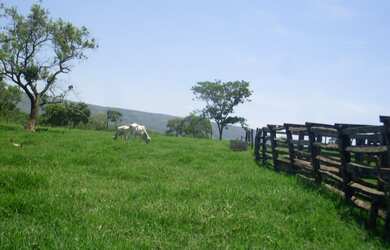 Imagem 15: FAZENDA RURAL em BURITIS - MG, CENTRO