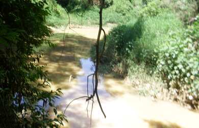 Imagem 12: FAZENDA RURAL em BURITIS - MG, CENTRO