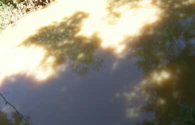 Imagem 13: FAZENDA RURAL em BURITIS - MG, CENTRO