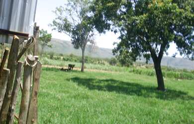 Imagem 14: FAZENDA RURAL em BURITIS - MG, CENTRO