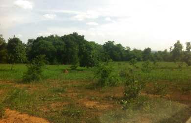 Imagem: A chácara está localizado em Centro, Buritis à venda por