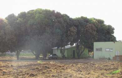 Imagem 6: CHÁCARA em Buritis - MG, Município de Buritis