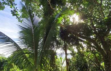 Imagem: O terreno à venda possui 630m² de Área Privada e está localizado