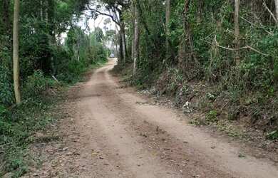Imagem: O terreno possui 20.000m² de Área e está localizado em Santo