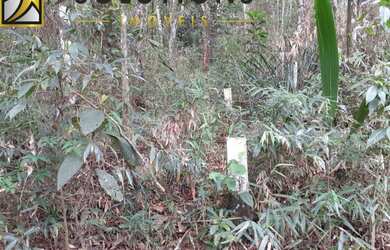 Imagem 2: Área em Francisco Morato