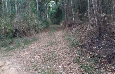 Imagem 6: Área em Francisco Morato