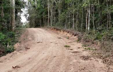 Imagem 4: Área em Francisco Morato