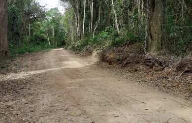 Imagem 7: Área em Francisco Morato