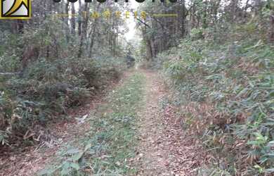 Imagem 8: Área em Francisco Morato