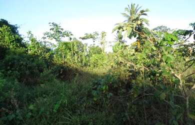 Imagem 2: TERRENO COMERCIAL em Simões Filho - BA, Estrada Cia Aeroporto