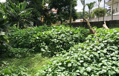 Imagem: O terreno possui 298m² de Área e está localizado em Lauzane