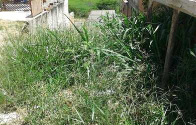 Imagem: O terreno possui 125m² de Área Privada, Imóvel novo e está