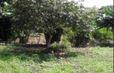 Imagem: O terreno possui 6.000m² de Área e está localizado em Jardim