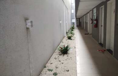 Imagem 3: APARTAMENTO PARA LOCAÇÃO EM SP CIDADE PATRIARCA