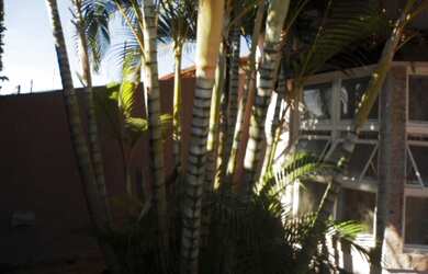 Imagem: 3 dormitórios, 1 suítes, 3 banheiro, 2 vagas na garagem, 128M²