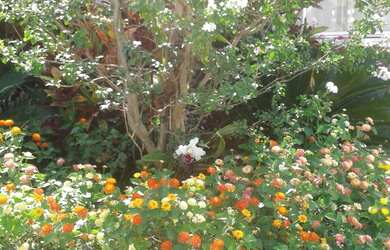 Imagem: A casa possui 5 Dormitórios, 3 Suítes, 5 Banheiros, 4 Vagas