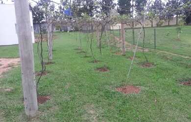 Imagem 6: 7 dormitórios, 3 suíte, 7 banheiro, 10 vagas na garagem, 340M² de Área...