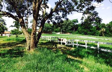 Imagem: A fazenda possui 3 Dormitórios, 1 Suíte, 3 Banheiros, 169.400m²