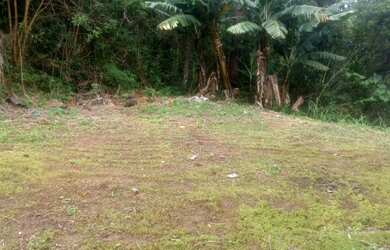 Imagem 11: Chácara à venda em São Lourenço da Serra - SP, com 2 quartos, sala, banheiro e 5.600m² de