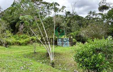 Imagem 2: Sítio à venda em Cananéia-SP, no bairro Iririaia, com 39,8 hectares