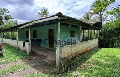 Imagem 13: Sítio à venda em Cananéia-SP, no bairro Iririaia, com 16,4 hectares