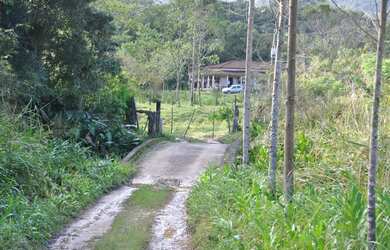 Imagem 5: Fazenda Sítio Grande - bairro Iririaia - Cananéia / SP 294,64 alqueires